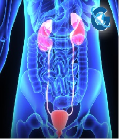 Emphysematous Pyelonephritis and Obstructive Uropathy: Case Report
